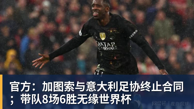 官方：加图索与意大利足协终止合同；带队8场6胜无缘世界杯